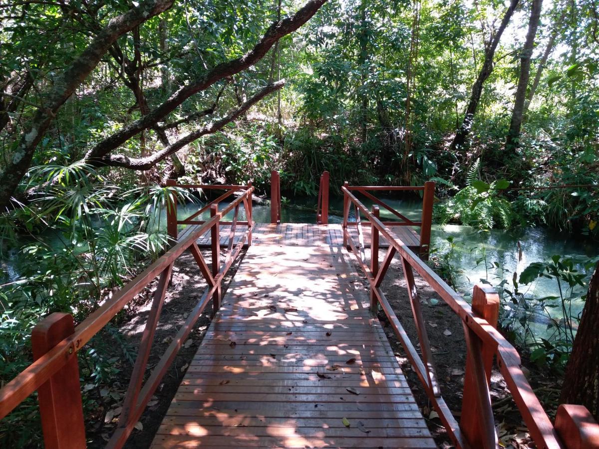 Pousada De Charme Formiga Ecolodge Mateiros Esterno foto